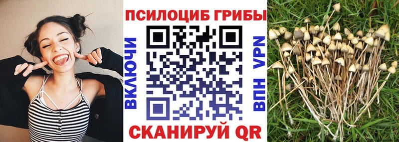 Псилоцибиновые грибы Magic Shrooms  купить закладку  Иваново 