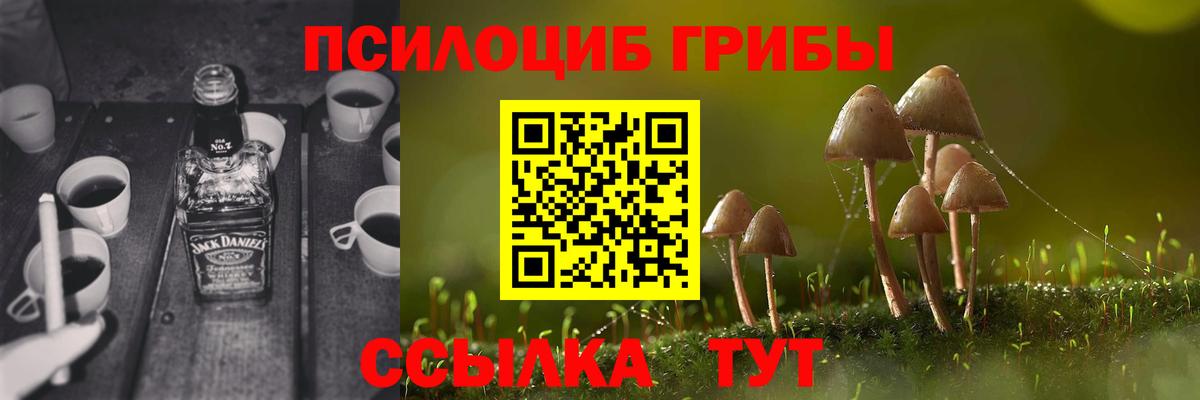 Иваново  Галлюциногенные грибы Psilocybine cubensis  Вход с VPN 